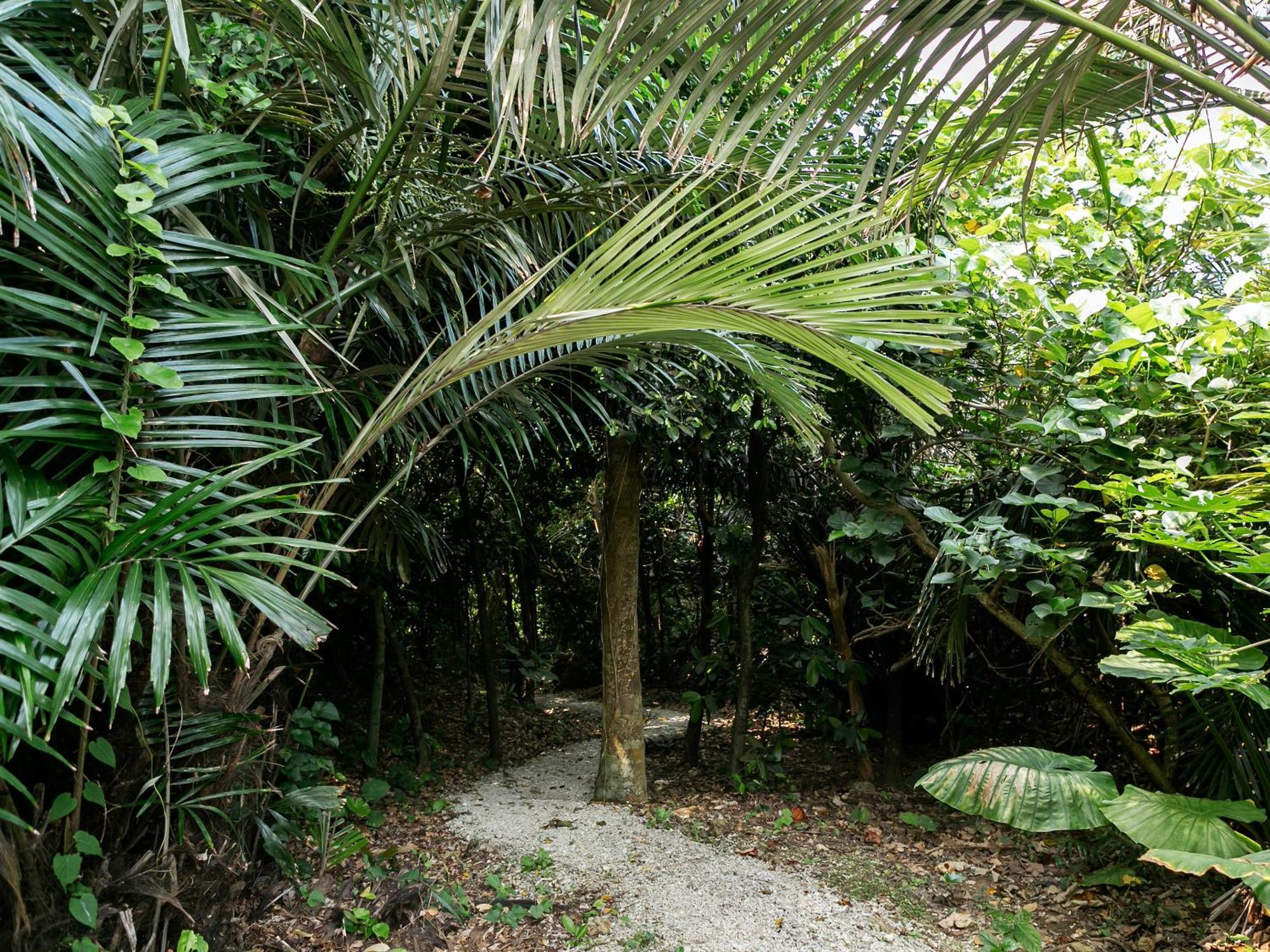 Jusandi Villa Ishigaki  Exterior foto